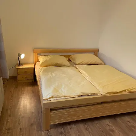 ゲストハウス Apartmany Celnice *